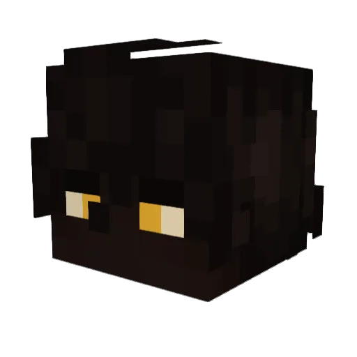 T4x1dermy Minecraft avatar head, 3D render