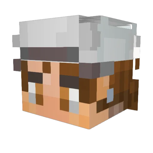 T6loN Minecraft avatar head, 3D render