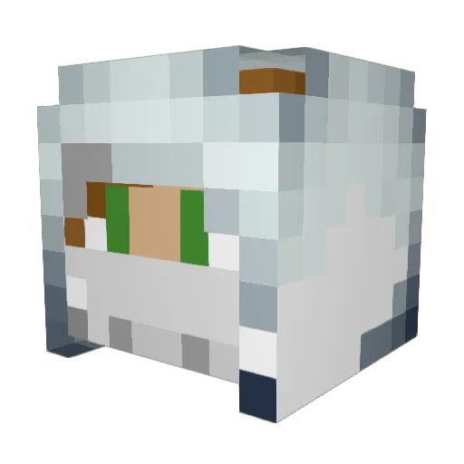 T6xyz Minecraft avatar head, 3D render
