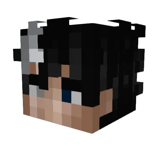 TAAKEZO_ Minecraft avatar head, 3D render