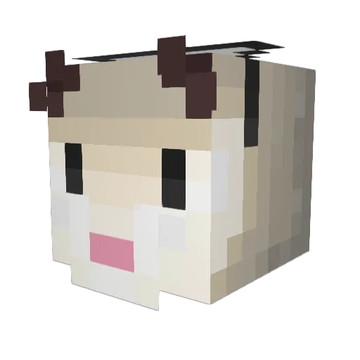 TAAKROW Minecraft avatar head, 3D render