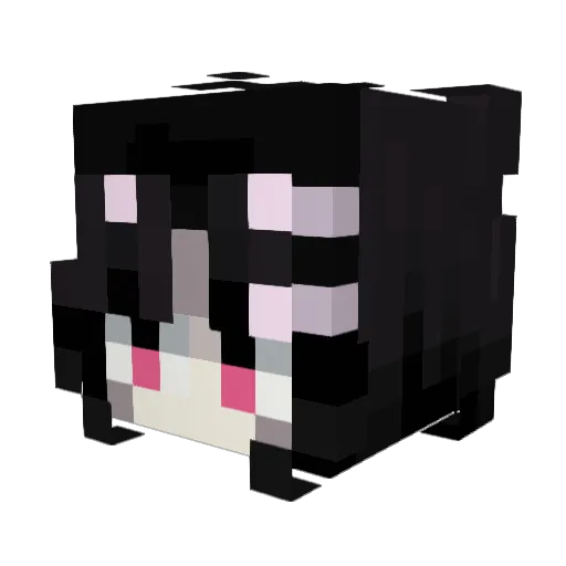 TACK96110 Minecraft avatar head, 3D render