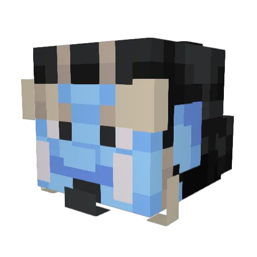 TACO134 Minecraft avatar head, 3D render