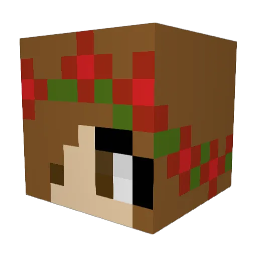 TACOS_and_MEN Minecraft avatar head, 3D render