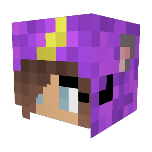 TACO_MUNCHER Minecraft avatar head, 3D render