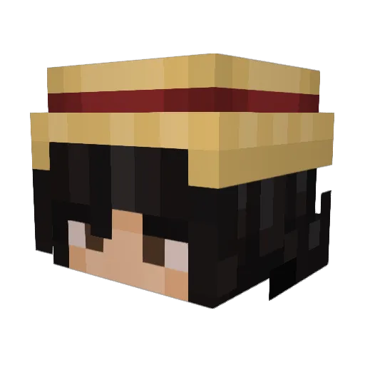 TADOMI143 Minecraft avatar head, 3D render