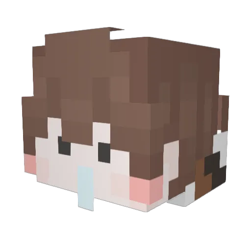 TAEJIN0302 Minecraft avatar head, 3D render