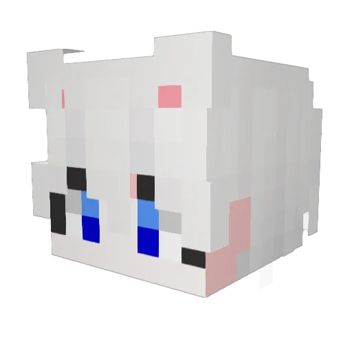 TAENOSE Minecraft avatar head, 3D render