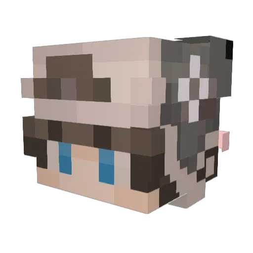 TAESAN_1117 Minecraft avatar head, 3D render