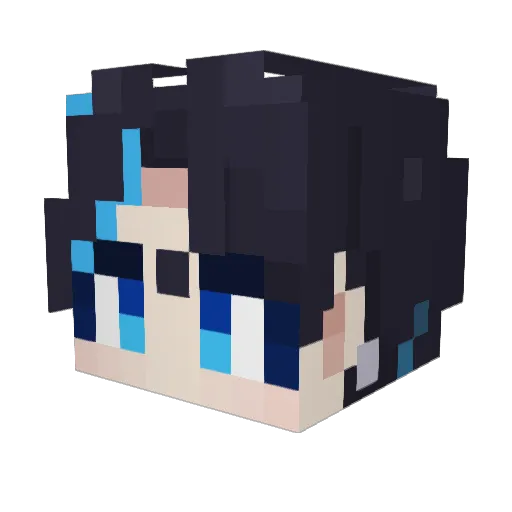 TAE_YU Minecraft avatar head, 3D render