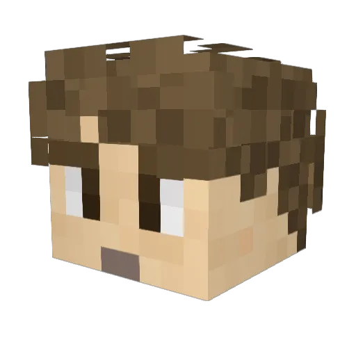 TAGTHEMALL302 Minecraft avatar head, 3D render