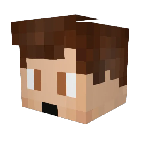 TAGaming760123 Minecraft avatar head, 3D render