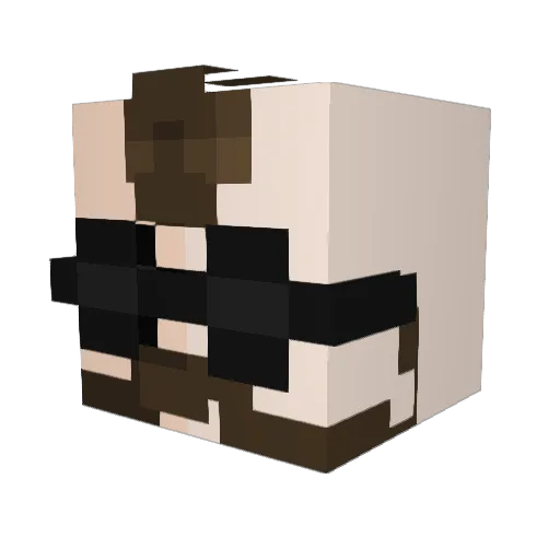 TAHJ_dk Minecraft avatar head, 3D render