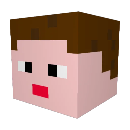 TAISET Minecraft avatar head, 3D render