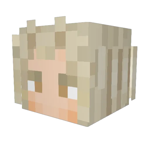 TAIWANnorman Minecraft avatar head, 3D render