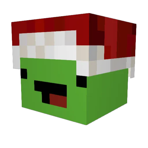 TAI_MISTER Minecraft avatar head, 3D render
