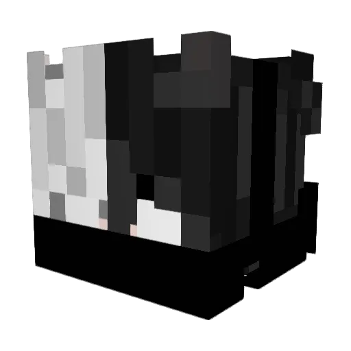 TAKAYUKI2009 Minecraft avatar head, 3D render