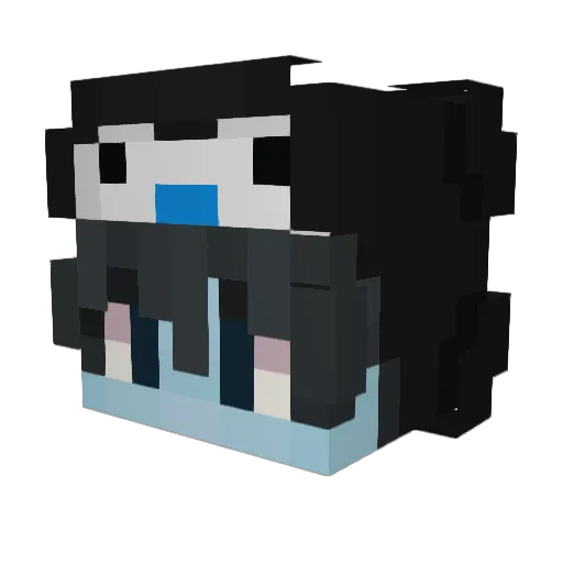 TAKA_PENGUIN Minecraft avatar head, 3D render