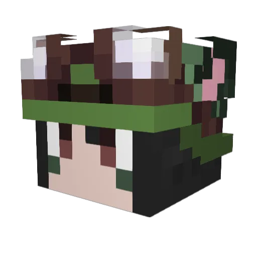TAKI33333 Minecraft avatar head, 3D render