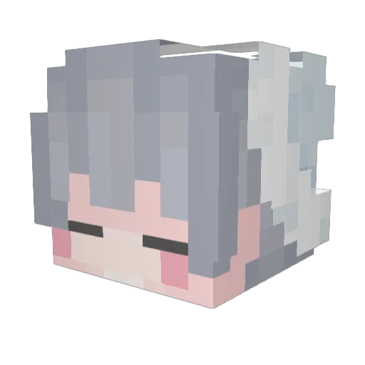 TAM4SAN Minecraft avatar head, 3D render