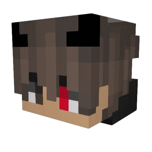 TAMPER1337 Minecraft avatar head, 3D render