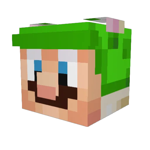 TAMSUTIS784 Minecraft avatar head, 3D render