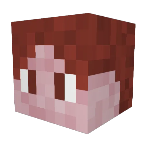 TANETTOS2012 Minecraft avatar head, 3D render