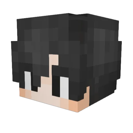 TANKEGOD Minecraft avatar head, 3D render