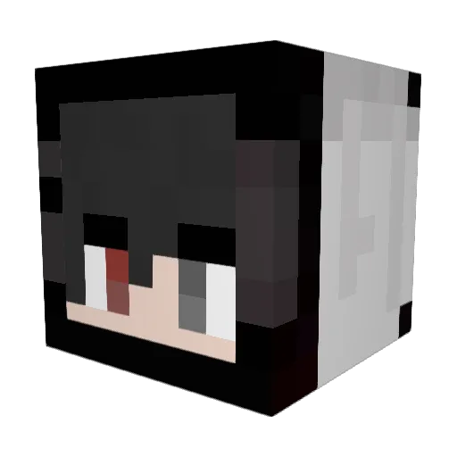 TANYUJIE Minecraft avatar head, 3D render