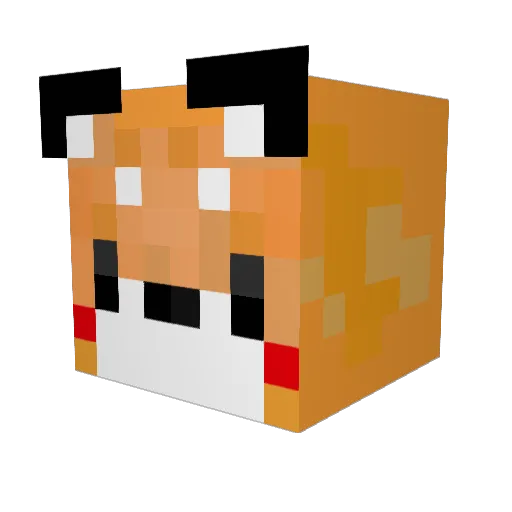 TAOxLeader Minecraft avatar head, 3D render