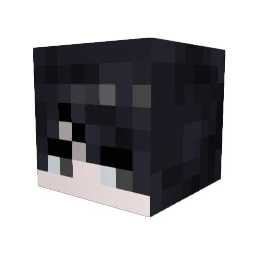 TAP1010 Minecraft avatar head, 3D render