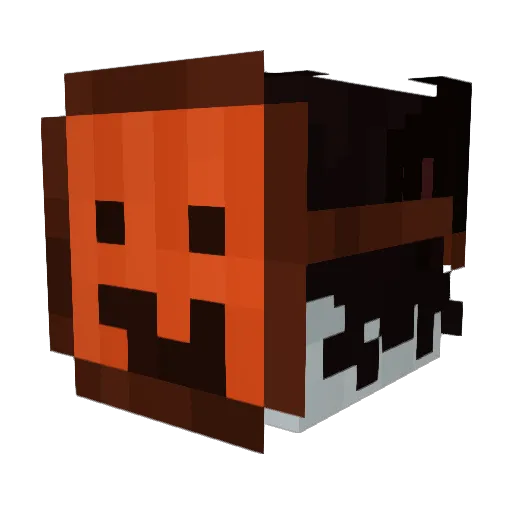 TAPO4KA Minecraft avatar head, 3D render