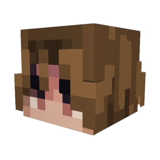 TARIXXX Minecraft avatar head, 3D render