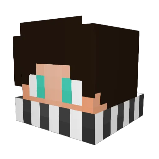 TARS21 Minecraft avatar head, 3D render
