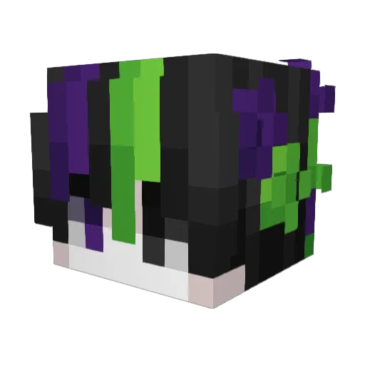 TASHINY Minecraft avatar head, 3D render