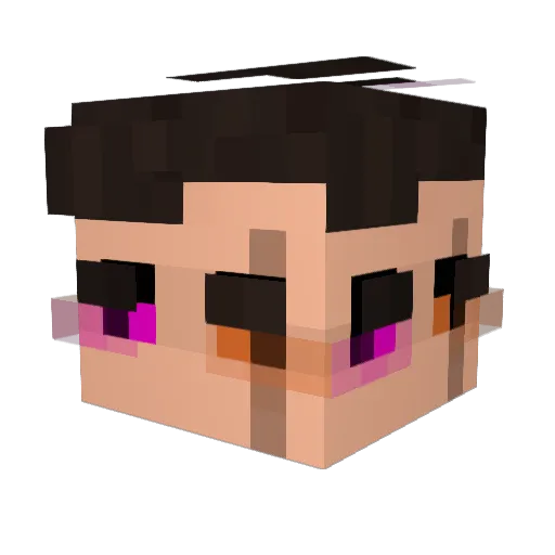 TAVR Minecraft avatar head, 3D render