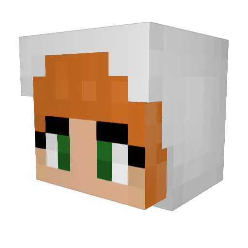 TAYF22 Minecraft avatar head, 3D render