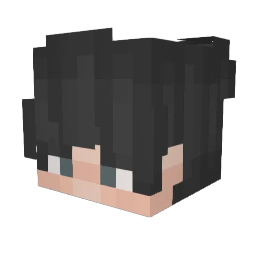 TAYKONG Minecraft avatar head, 3D render