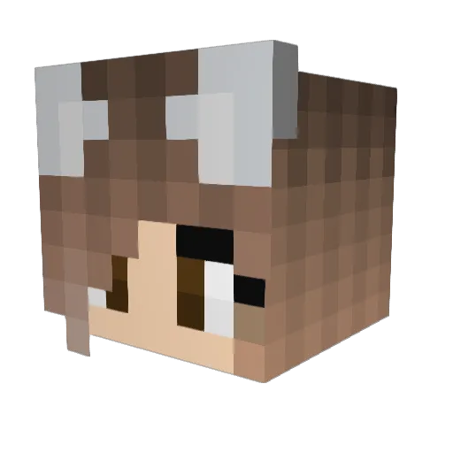 TAYLOR460 Minecraft avatar head, 3D render