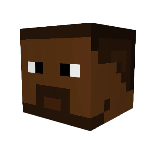 TAYLORW007 Minecraft avatar head, 3D render