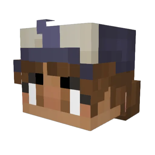 TAYLXR17 Minecraft avatar head, 3D render
