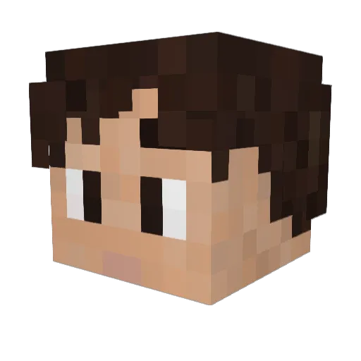 TAYNUS96 Minecraft avatar head, 3D render