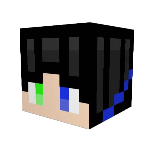 TAYT000 Minecraft avatar head, 3D render