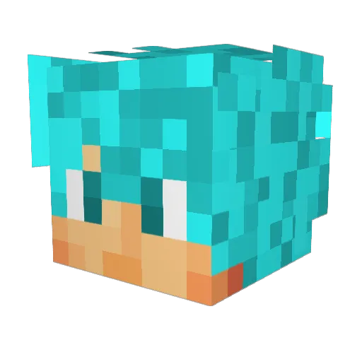 TAndry2001 Minecraft avatar head, 3D render