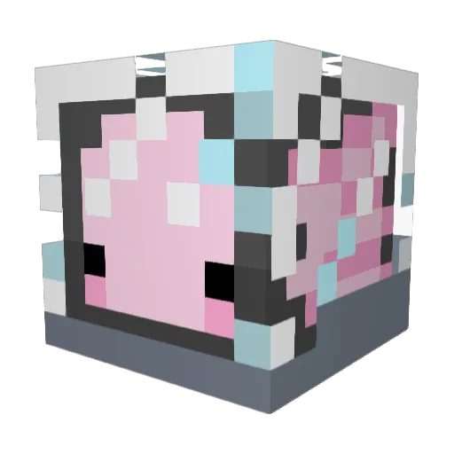 TBDays Minecraft avatar head, 3D render