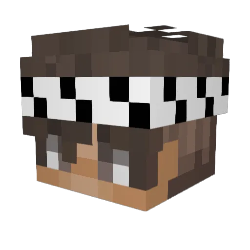 TBE_Tripsty Minecraft avatar head, 3D render