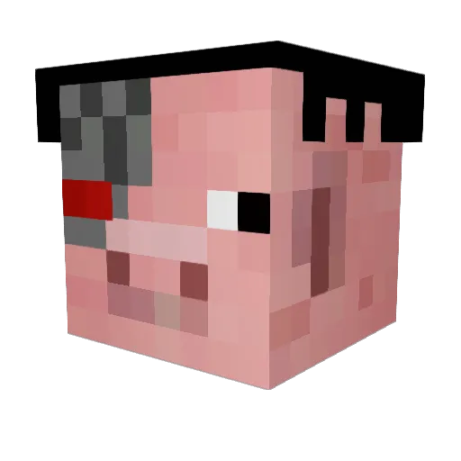 TBJbaconator Minecraft avatar head, 3D render