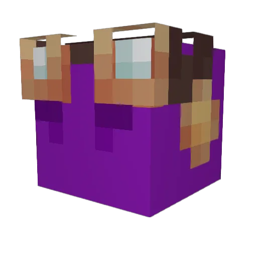 TBLOU_ Minecraft avatar head, 3D render
