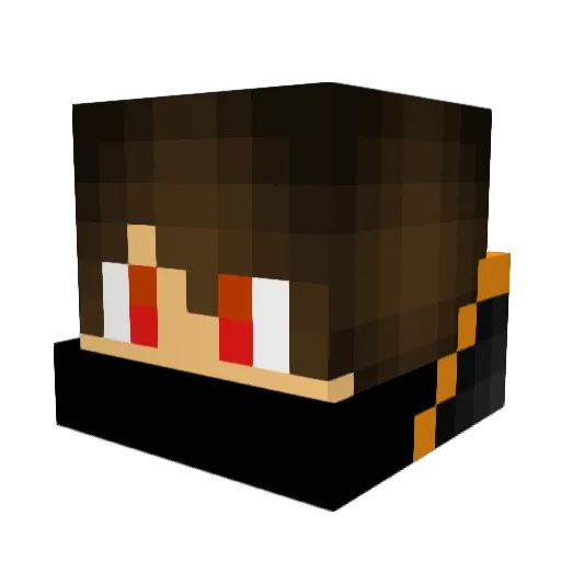 TBNRJOY Minecraft avatar head, 3D render