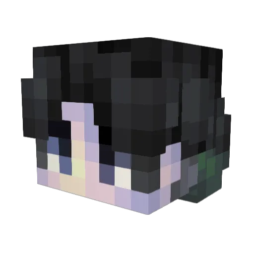TBNRJunior Minecraft avatar head, 3D render